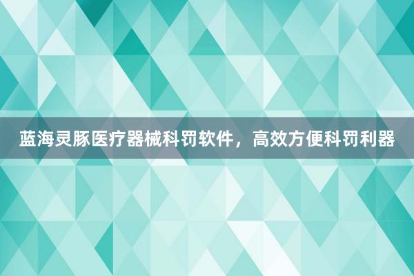 蓝海灵豚医疗器械科罚软件，高效方便科罚利器