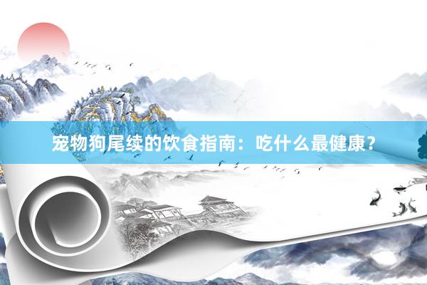 宠物狗尾续的饮食指南:吃什么最健康?