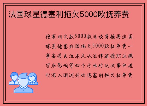 法国球星德塞利拖欠5000欧抚养费